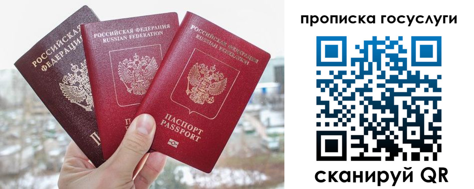 прописка законно в Тихорецке